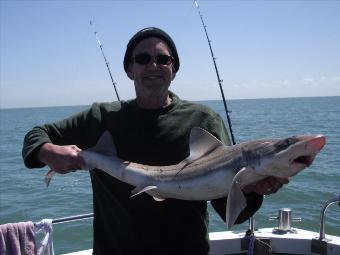 14 lb Starry Smooth-hound by andy