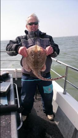 9 lb 8 oz Thornback Ray by Bob Marshall