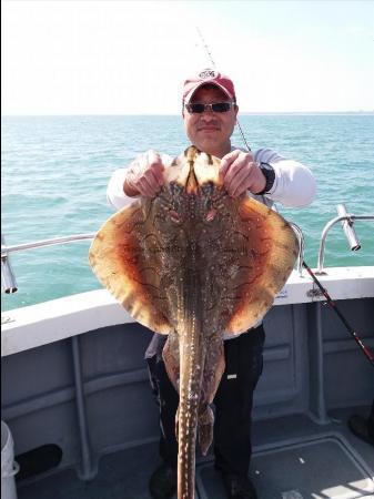 12 lb 4 oz Undulate Ray by Ket
