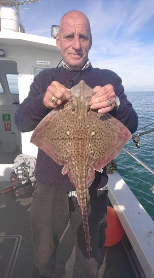 4 lb Thornback Ray by Mad Peter