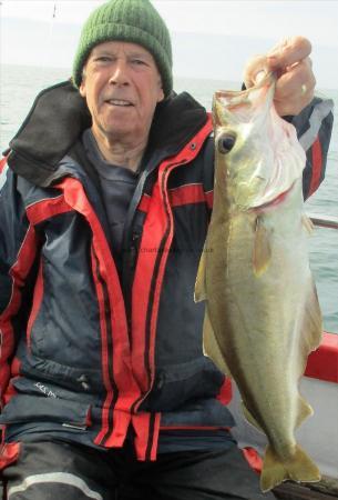 4 lb 8 oz Pollock by Paul Cutler