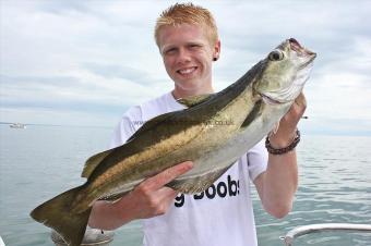 5 lb Pollock by Harry