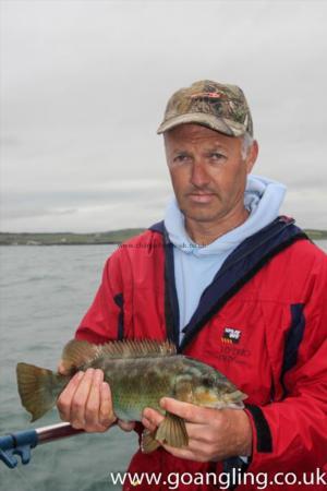 2 lb Ballan Wrasse by Neil