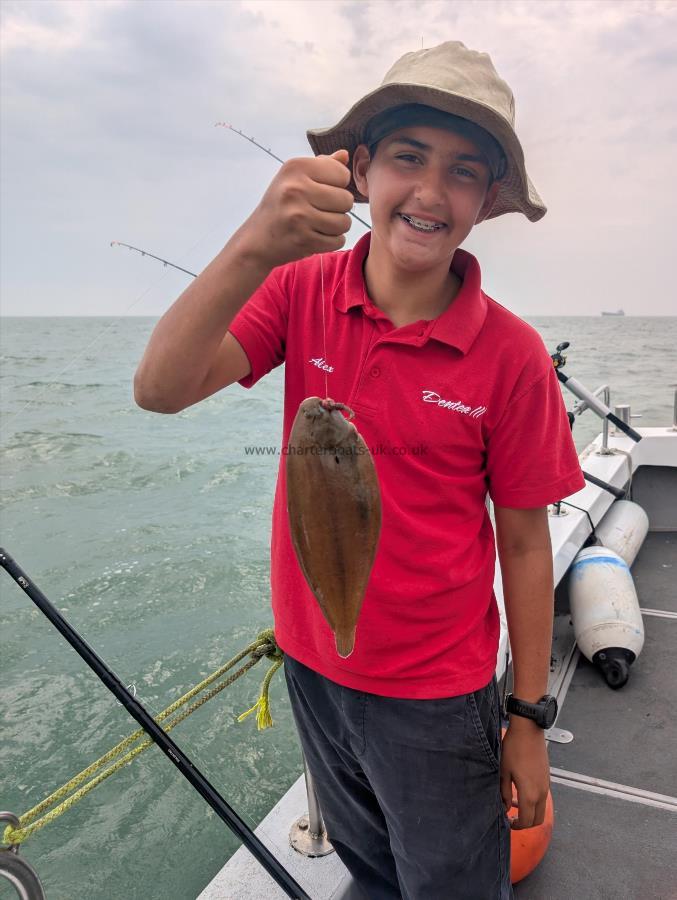 1 lb Dover Sole by Mouse