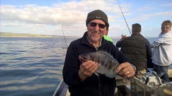 2 lb 4 oz Black Sea Bream by Stephen Wake