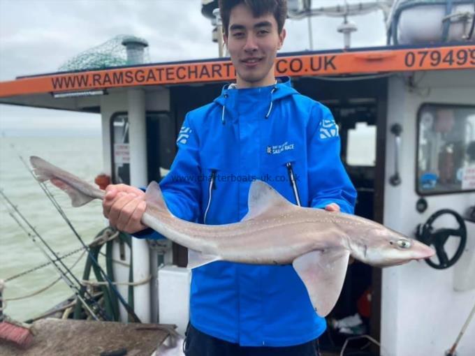 7 lb Smooth-hound by Unknown