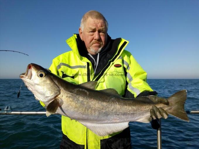 10 lb 10 oz Pollock by Unknown