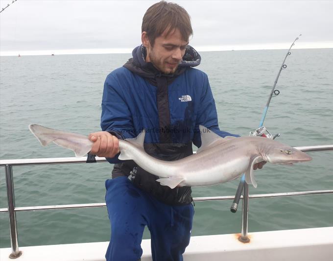 9 lb Smooth-hound (Common) by Bob Marshall