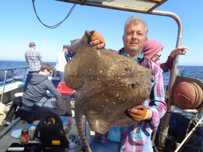12 lb 10 oz Thornback Ray by caught  by dave and returned unharmed