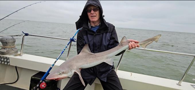 11 lb Smooth-hound by Tony