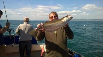 4 lb Pollock by Stephen Wake