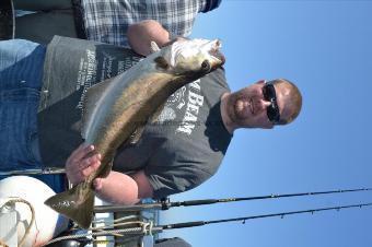 8 lb 2 oz Pollock by Unknown