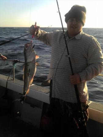 8 lb Cod by Andy Sargy