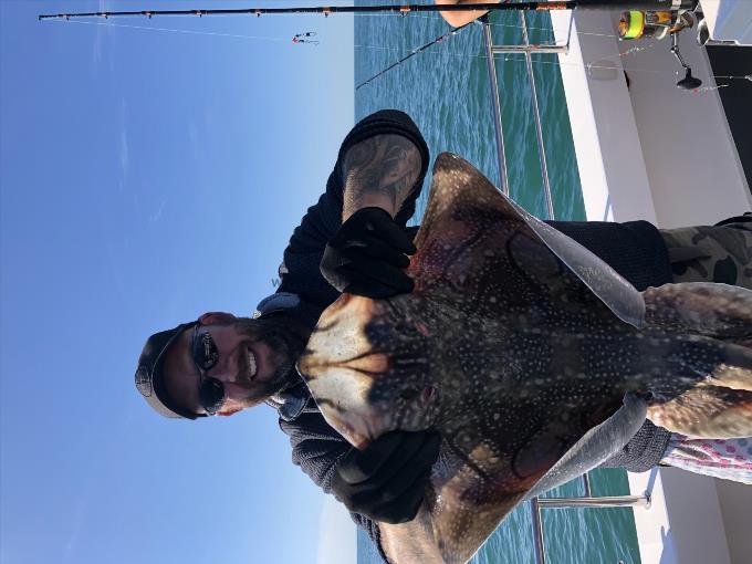 14 lb 9 oz Undulate Ray by Rob