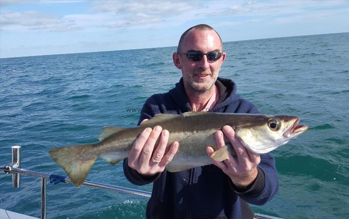 4 lb 4 oz Pollock by Jon