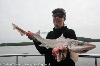 12 lb Starry Smooth-hound by Annie