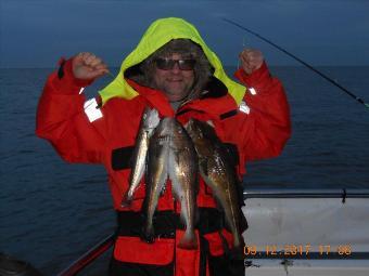 3 lb 5 oz Cod by Steve