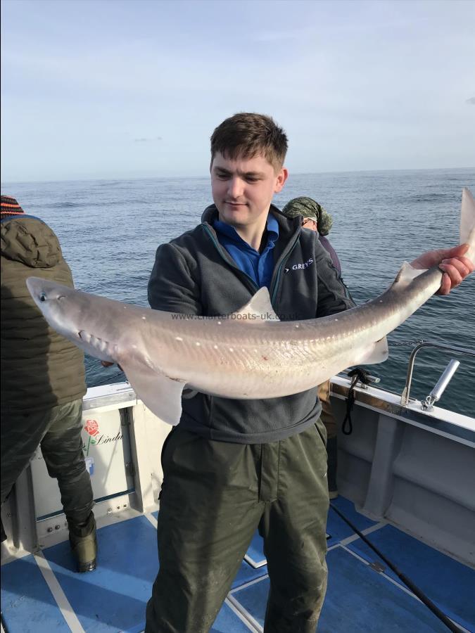 17 lb 8 oz Spurdog by Toby