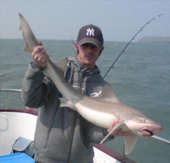 20 lb Smooth-hound (Common) by Carl "Monty" Burns