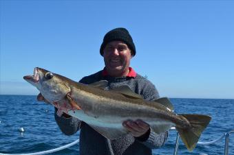 12 lb 4 oz Pollock by Unknown