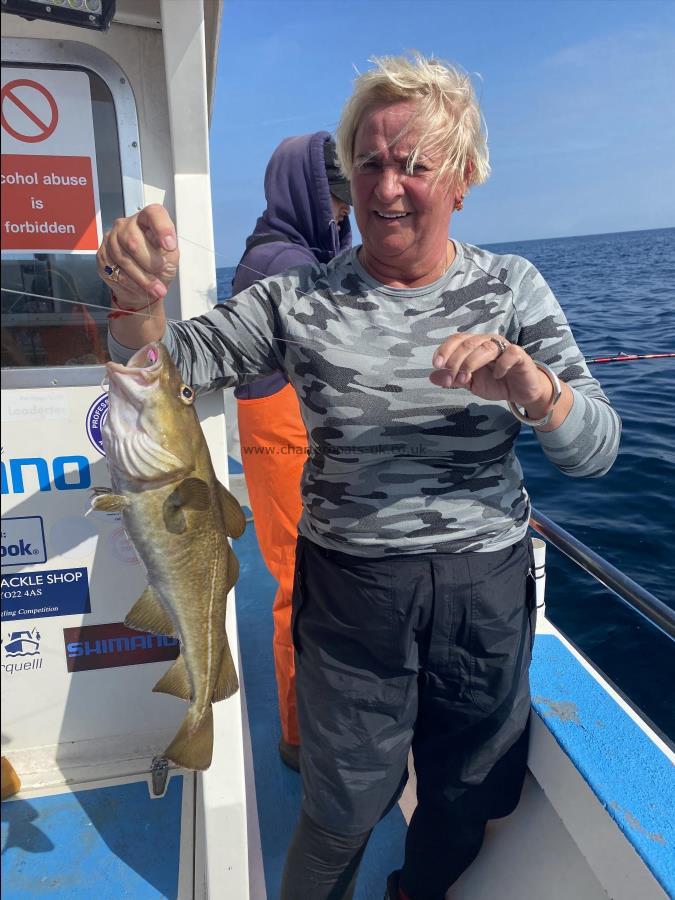 3 lb 6 oz Cod by Unknown