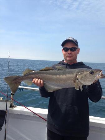 10 lb 8 oz Pollock by Dan Hill