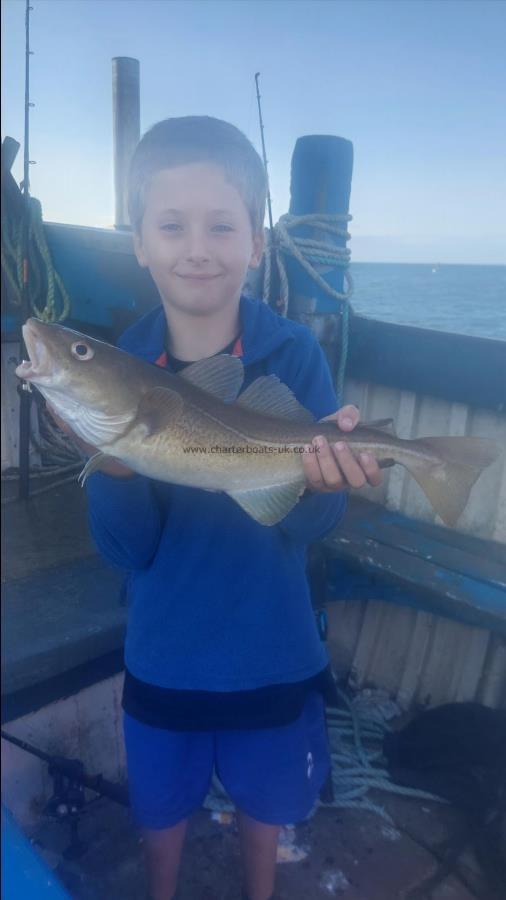 1 lb 8 oz Cod by Unknown