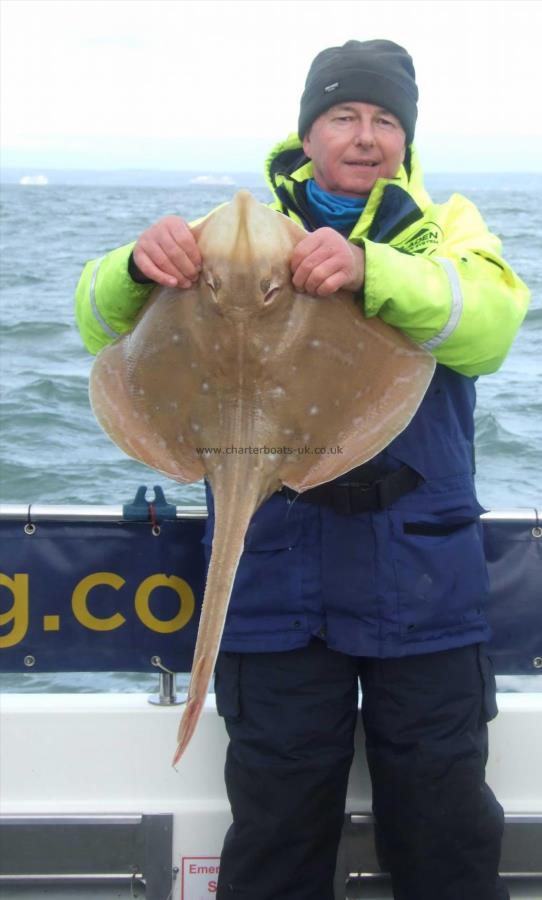 9 lb 8 oz Small-Eyed Ray by David Metcalf