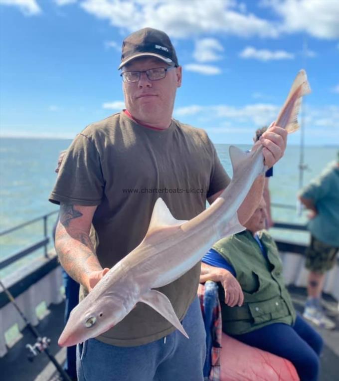 7 lb Smooth-hound (Common) by Unknown