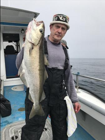 11 lb Pollock by Kevin McKie