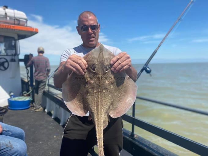 8 lb Thornback Ray by Unknown