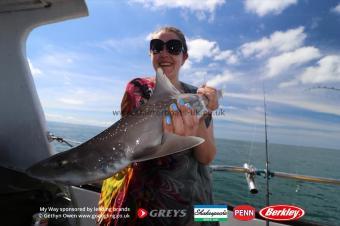 4 lb Starry Smooth-hound by Kass