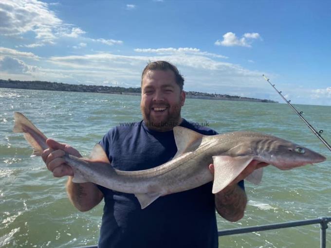 11 lb Smooth-hound (Common) by Unknown