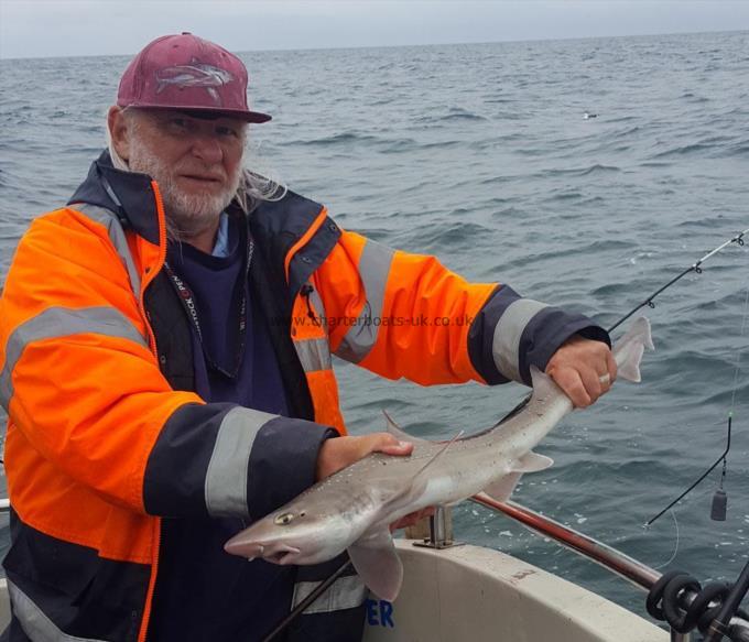 6 lb 12 oz Starry Smooth-hound by Chris