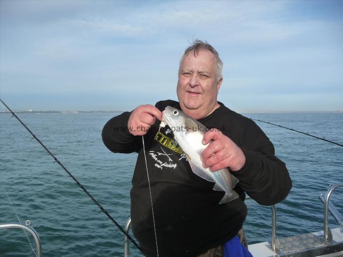 1 lb Whiting by Richard W
