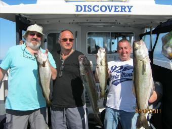 13 lb 8 oz Pollock by Alan