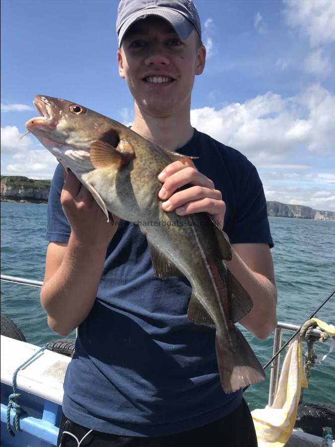 6 lb Cod by Henry