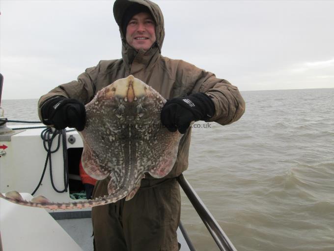 6 lb 8 oz Thornback Ray by Unknown