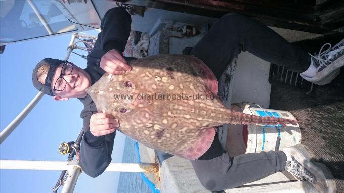14 lb 6 oz Thornback Ray by Harry from potters bar