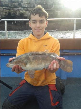 4 lb 4 oz Ballan Wrasse by Lewis Brownson