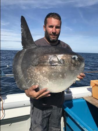 40 lb Sunfish by Kevin McKie