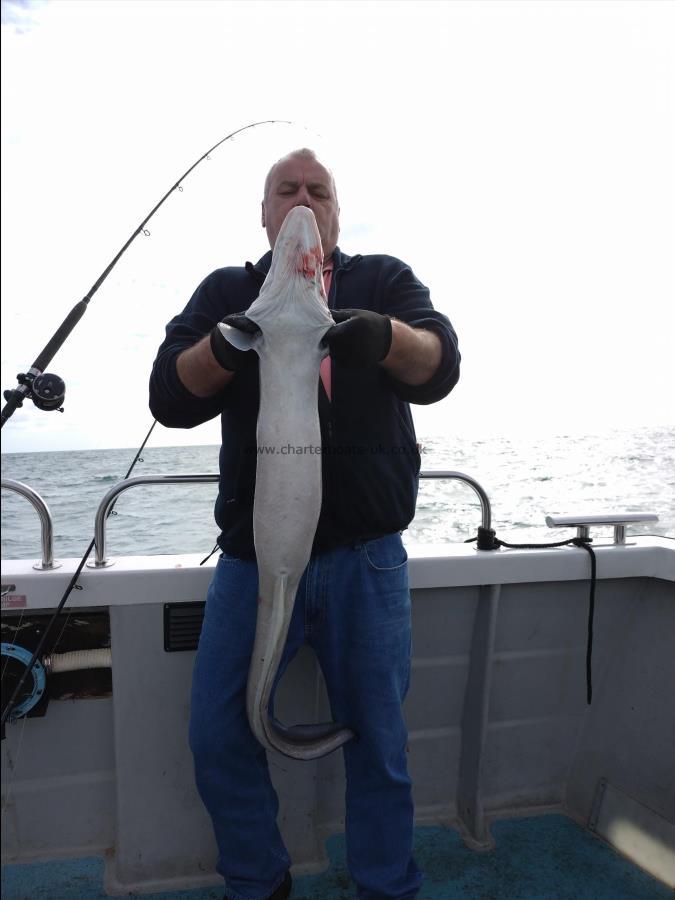 16 lb Conger Eel by Loz