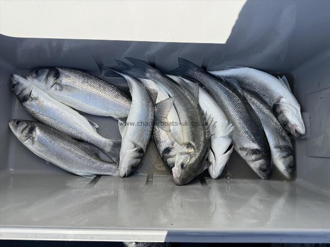 1 Kg Bass by Unknown