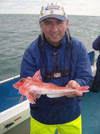 1 lb 12 oz Red Gurnard by Gordon Goldie