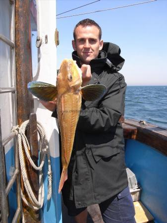 3 lb 5 oz Tub Gurnard by Unknown