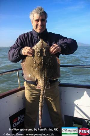 9 lb Thornback Ray by Ian