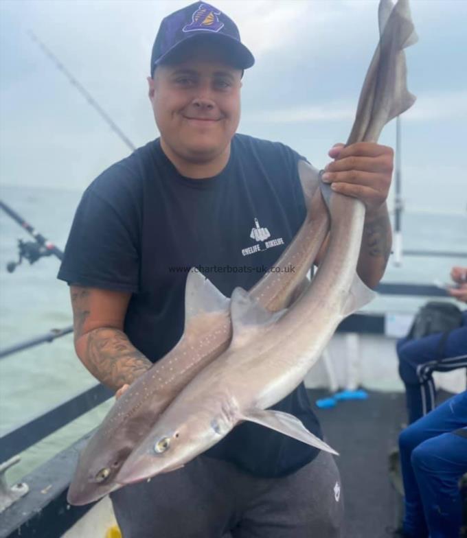 7 lb Smooth-hound by Unknown