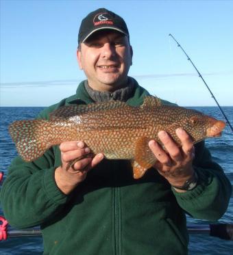 4 lb 12 oz Ballan Wrasse by David Colclough