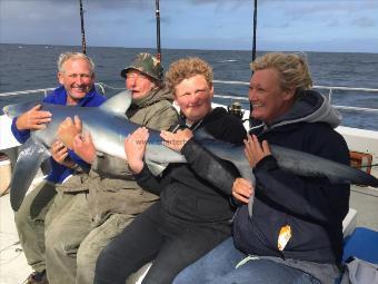 85 lb Blue Shark by stuart cross