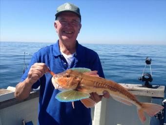 5 lb Tub Gurnard by Unknown